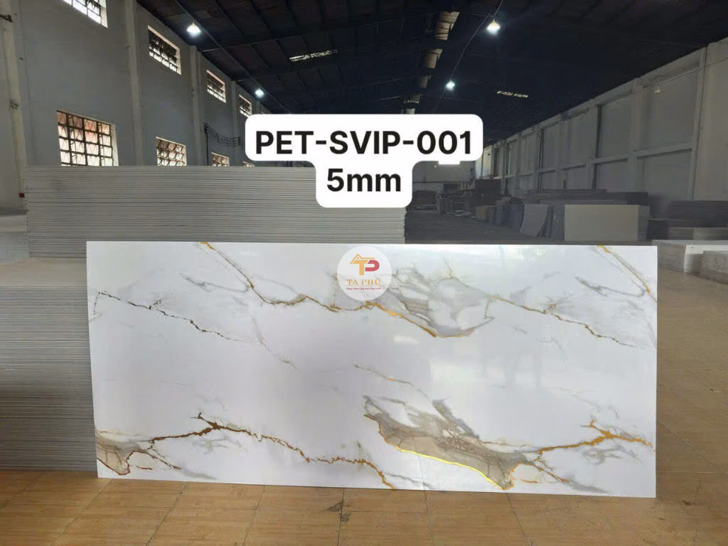 z6210550294558_67f9f6855e5c4c2801a923c1ea639bca