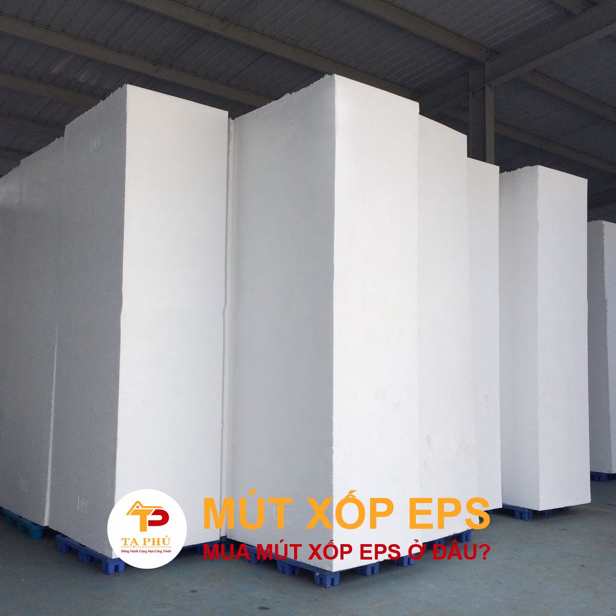 mutxopeps_6n